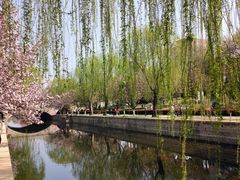 -海棠花溪(元大都城垣遗址公园)