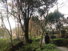 -和顺柏联温泉