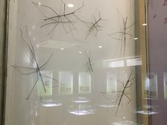 -上海昆虫博物馆