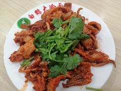 -白鹤大冷面