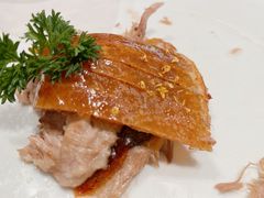-聆桂烤鸭·金奖烤鸭(静联广场店)