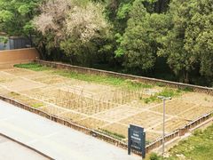 -延安杨家岭革命旧址