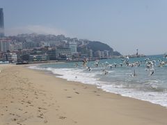 -海云台海滩