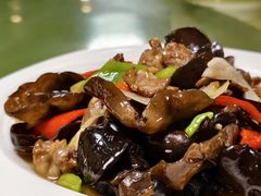 木耳炒肉-新疆红柳花餐厅(新洲店)