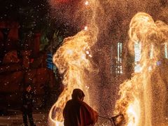 -海合安成都极地海洋公园