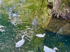 -西山人家·传统苏帮菜·家宴(木渎店)