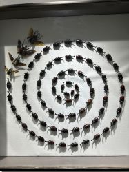 -酷嗒动物文化乐园(cutezoo西溪乐天城店)