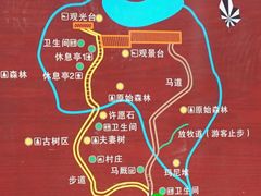 -米堆冰川