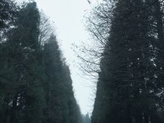 -山王坪喀斯特国家生态公园