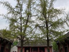 -房湖公园