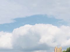 -菊园百果园