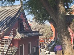 -长春观