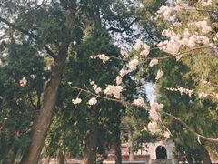 -香山公园-东宫门售票处