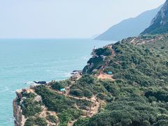 -杨梅坑