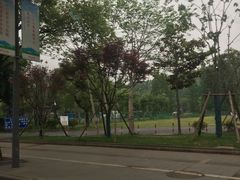 -佘山国家森林公园-西佘山停车场