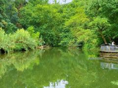 -阿哈湖国家湿地公园