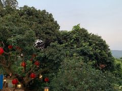 -顺风山庄(水濂山店)