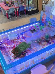 -卡通尼·Safari非洲探索乐园·生日会(金桥国际商业广场店)