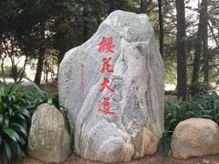 -武汉大学-樱园