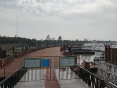 -洪湖生态旅游区