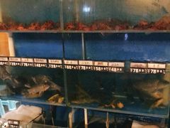 -小俩口烧烤东北菜(双井店)