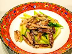-新光酒家·河豚·海鲜·蟹料理(浦东店)