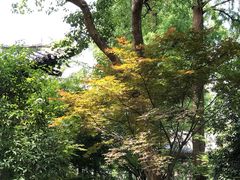 -浙江西子宾馆·牡丹厅