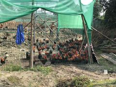 -洪湖家庭农场·团建·露营·会议