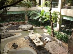 -麒麟中餐厅·经典粤菜·地道菜式老字号(广州长隆酒店)