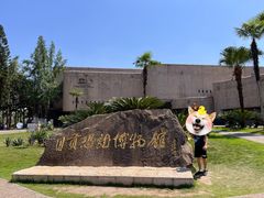 -自贡恐龙博物馆