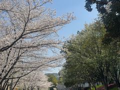 -浙江大学(玉泉校区)