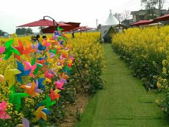 -桤木河湿地公园