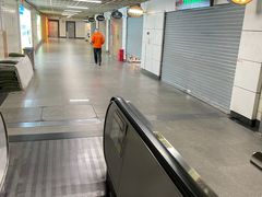 -茉莉奶白(广州动漫星城店)
