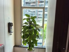 -通透堂中医·精准推拿(旗舰店)