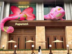 -帕帕拉兹宠物(亚洲旗舰店)