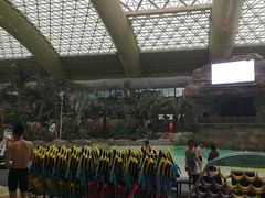 -杭州开元森泊度假乐园