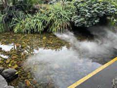 -泸州老窖景区
