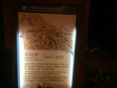 -三亚珠江南田温泉度假区