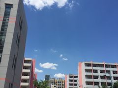 -南开大学滨海学院