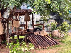 -泉州海丝野生动物世界