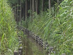 -苏州太湖湖滨国家湿地公园