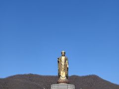 -中原大佛景区
