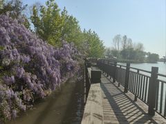 -杏花村文化旅游区