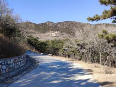 -北京西山国家森林公园