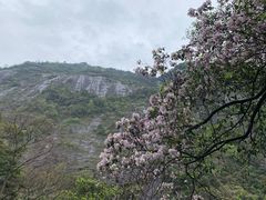 -大鄣山卧龙谷景区