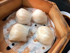 虾饺-玉兰苑一等茶餐厅
