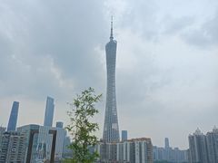 -小茶闲舍·观景商务茶馆(广州塔店)