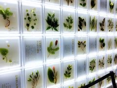 -广东中医药博物馆