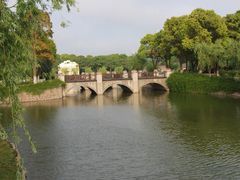 -上海鲜花港