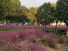 -云龙湖旅游景区